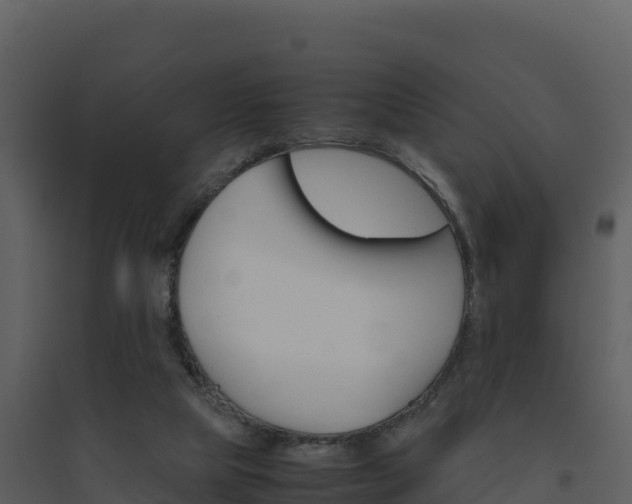 X0000094800065200711160950