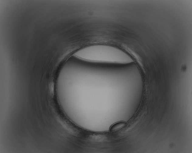 X0000094800067200711160950