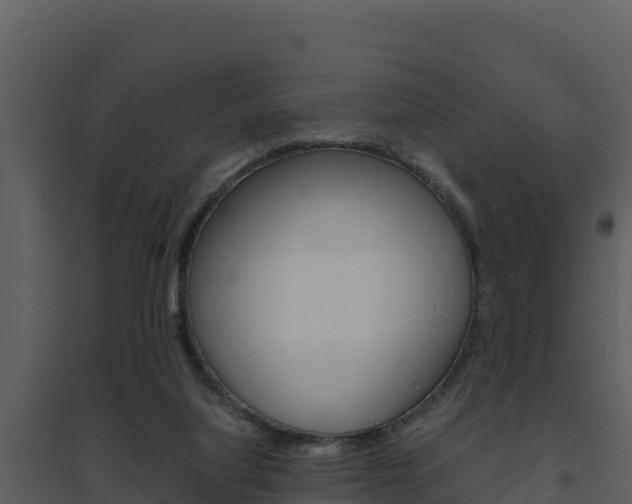X0000094800068200711160950