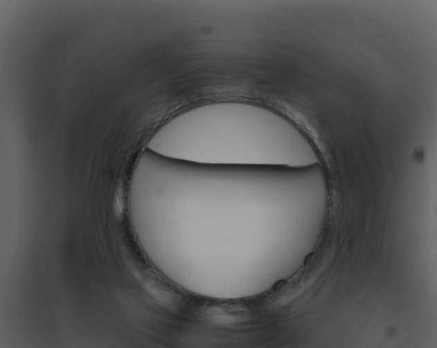 X0000094800069200711160950