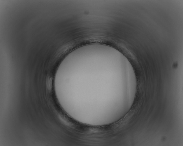 X0000094800070200711160950