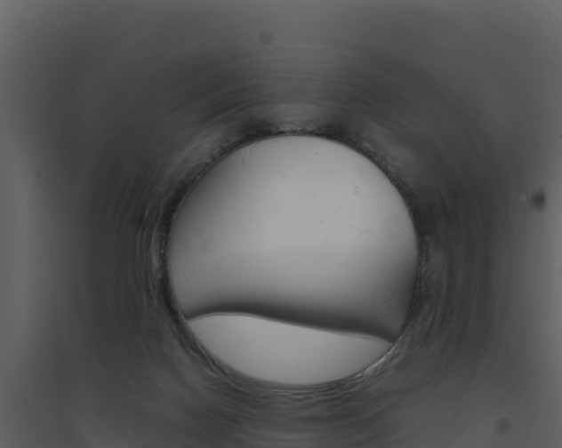 X0000094800074200711160950