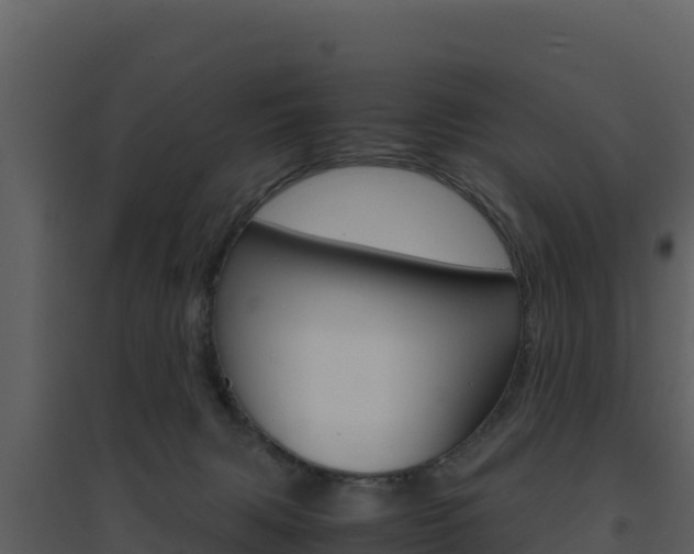 X0000094800079200711160950