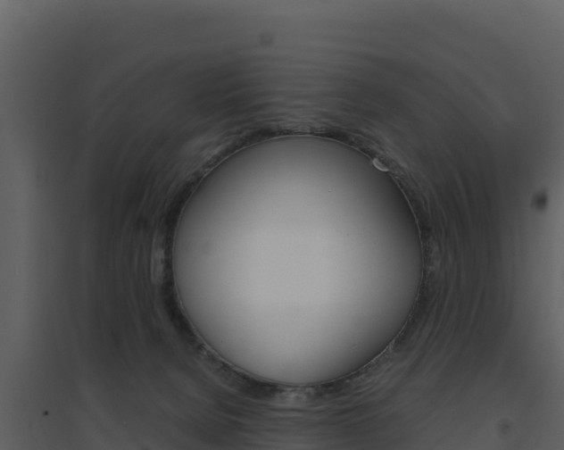 X0000094800080200711160950