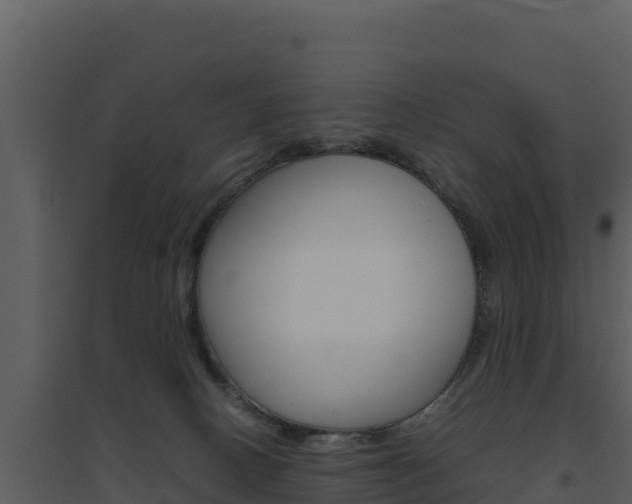 X0000094800082200711160950