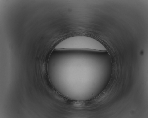 X0000094800088200711160950