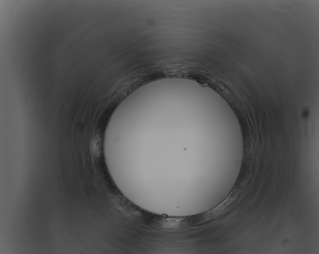 X0000094800090200711160950