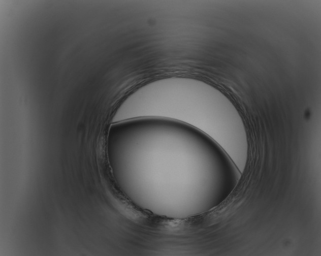 X0000094800092200711160950