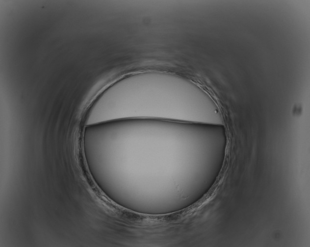 X0000094800101200711160950
