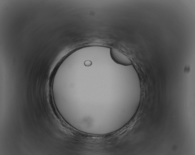 X0000094800102200711160950