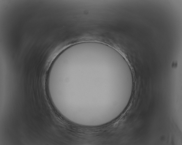 X0000094800103200711160950