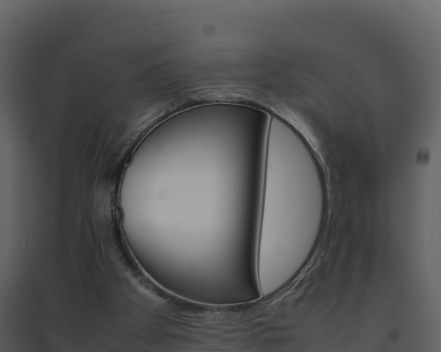 X0000094800105200711160950
