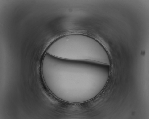 X0000094800107200711160950