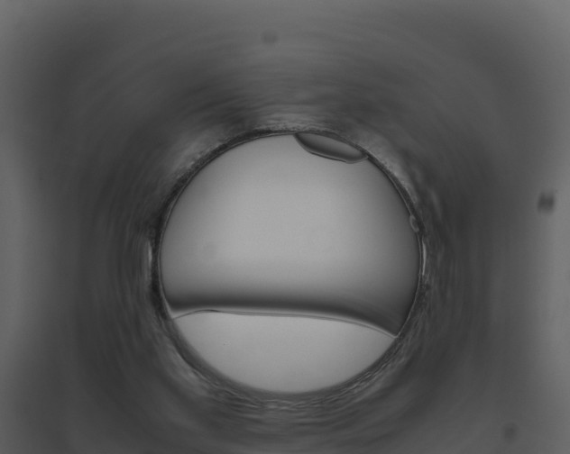 X0000094800109200711160950