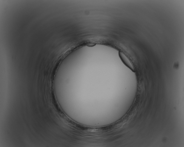 X0000094800117200711160949