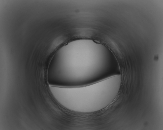 X0000094800120200711160949