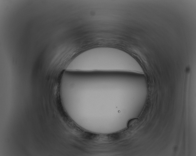 X0000094800123200711160949