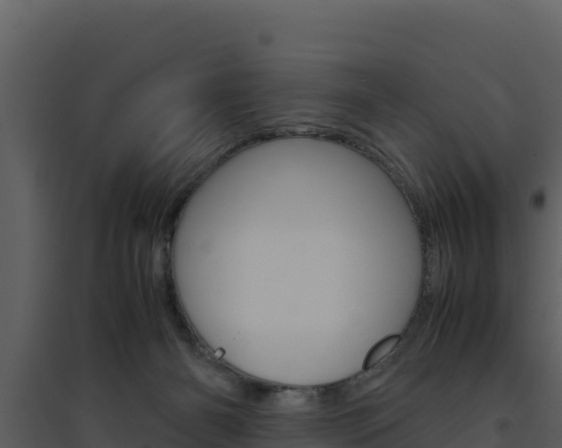 X0000094800126200711160949