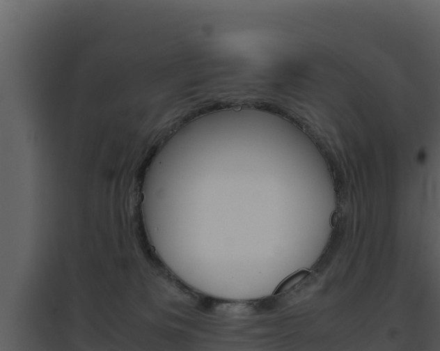 X0000094800133200711160949
