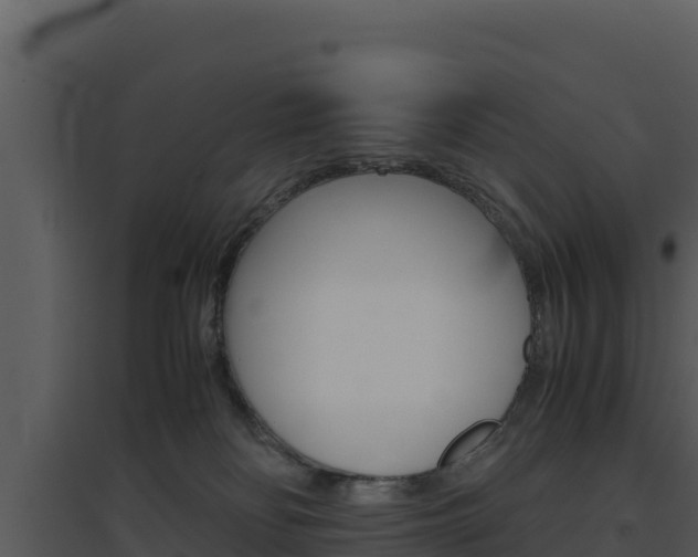 X0000094800134200711160949