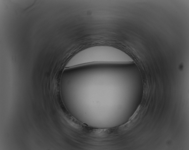 X0000094800136200711160949