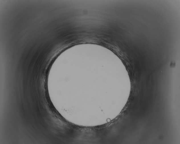 X0000094800146200711160948