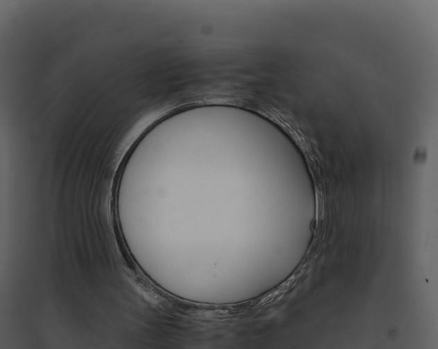 X0000094800147200711160948