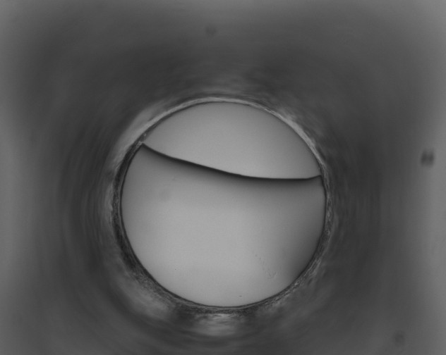 X0000094800151200711160949
