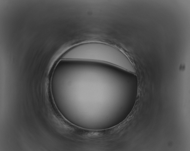 X0000094800152200711160949