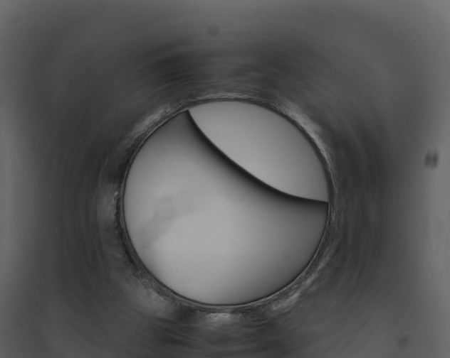 X0000094800153200711160949