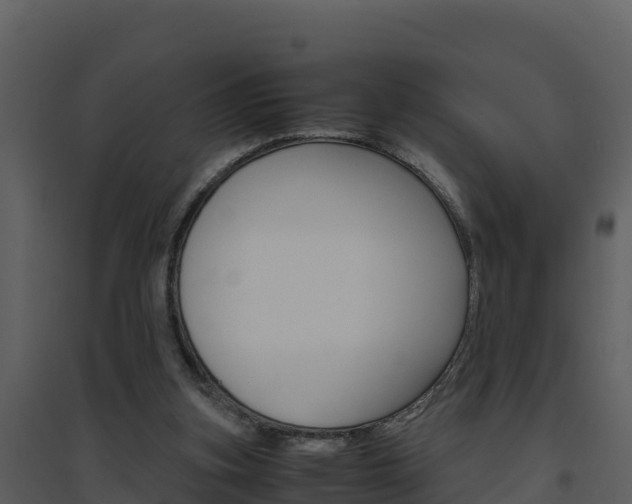 X0000094800155200711160949