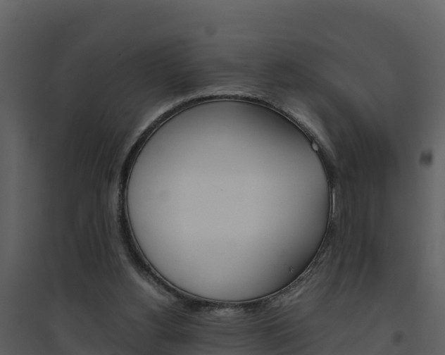 X0000094800156200711160949