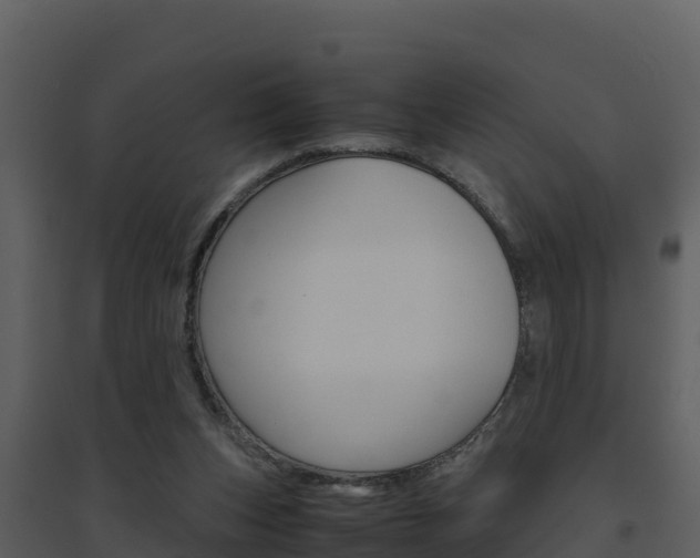 X0000094800159200711160949