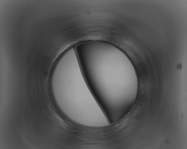 X0000094800160200711160949