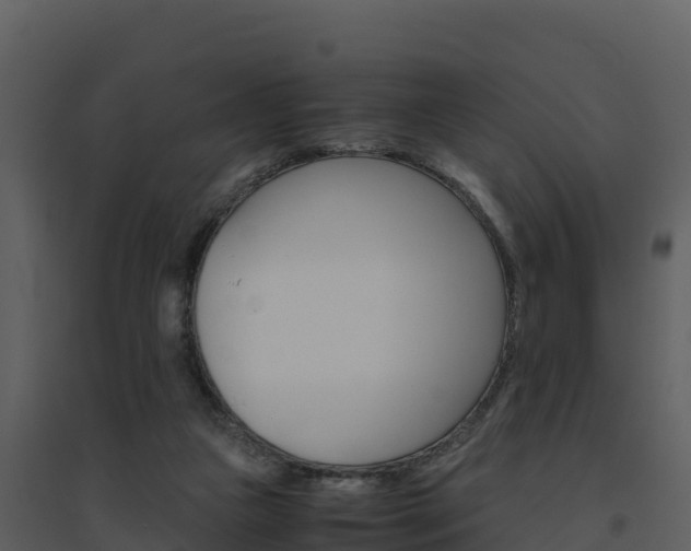 X0000094800161200711160949