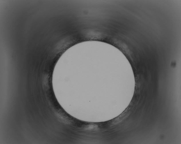 X0000094800162200711160949