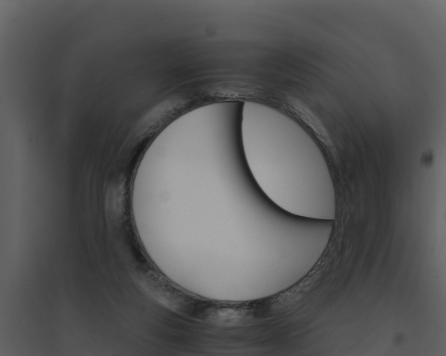 X0000094800163200711160949