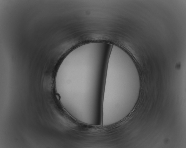 X0000094800164200711160949