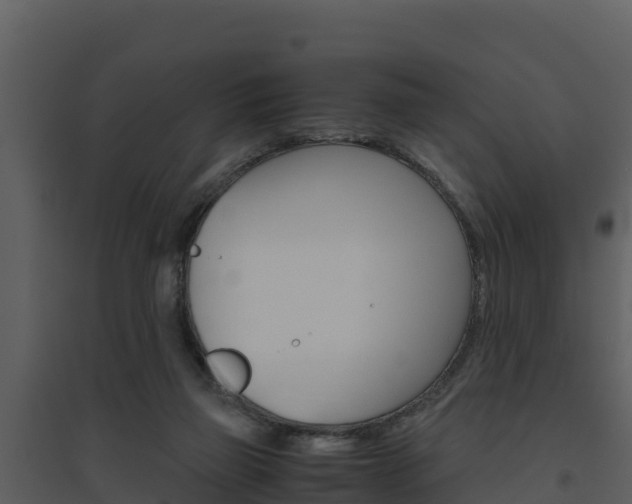 X0000094800165200711160949