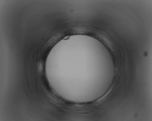 X0000094800166200711160949