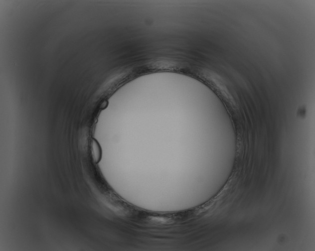 X0000094800167200711160949