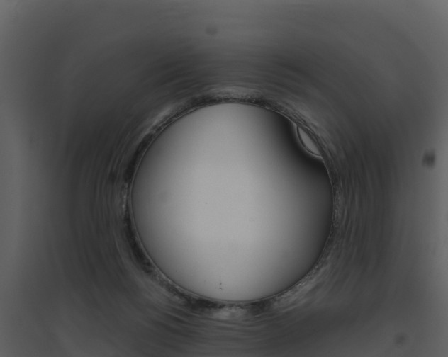 X0000094800168200711160949