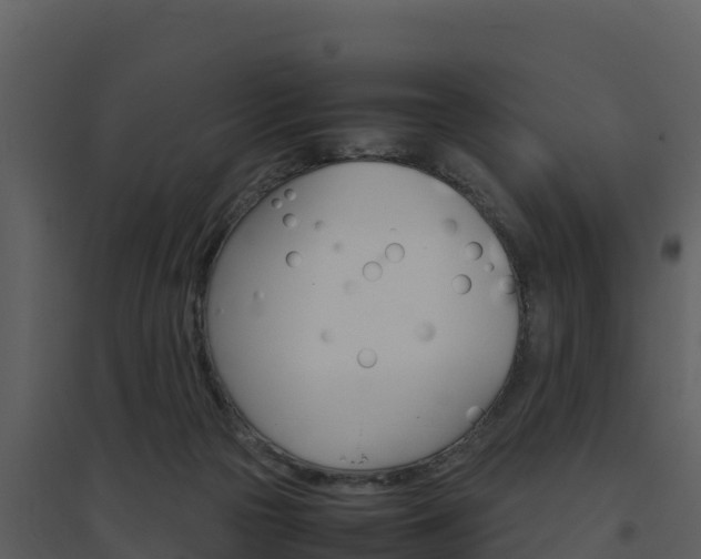 X0000094800169200711160949