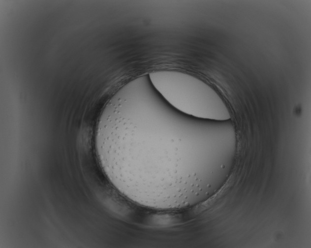 X0000094800171200711160949
