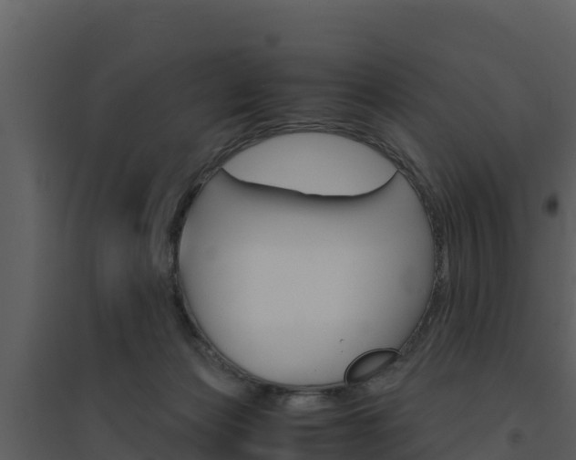 X0000094800173200711160949