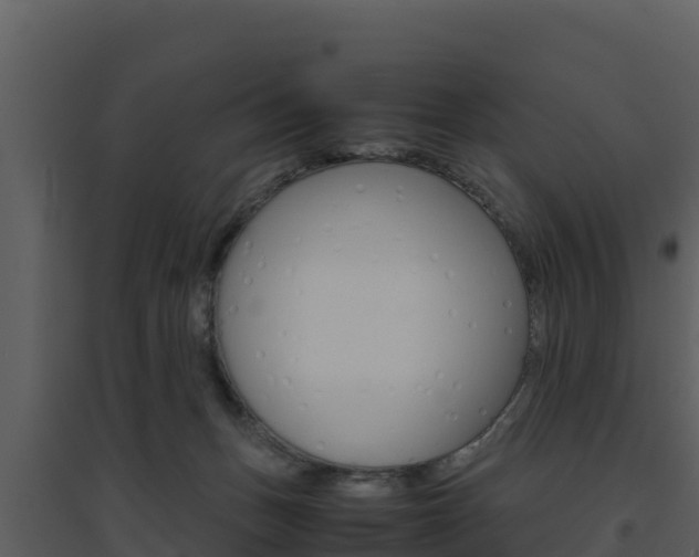 X0000094800175200711160949