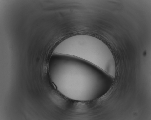 X0000094800180200711160949