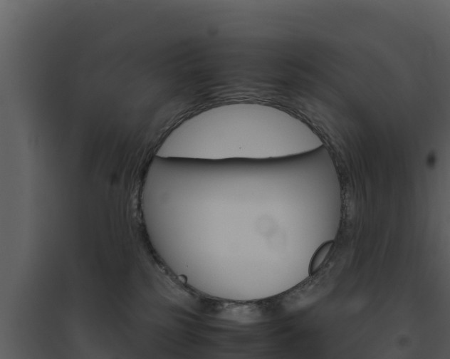 X0000094800185200711160949