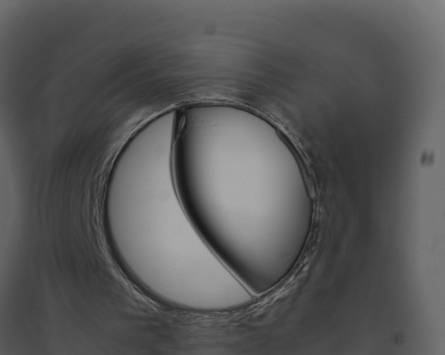 X0000094800193200711160948