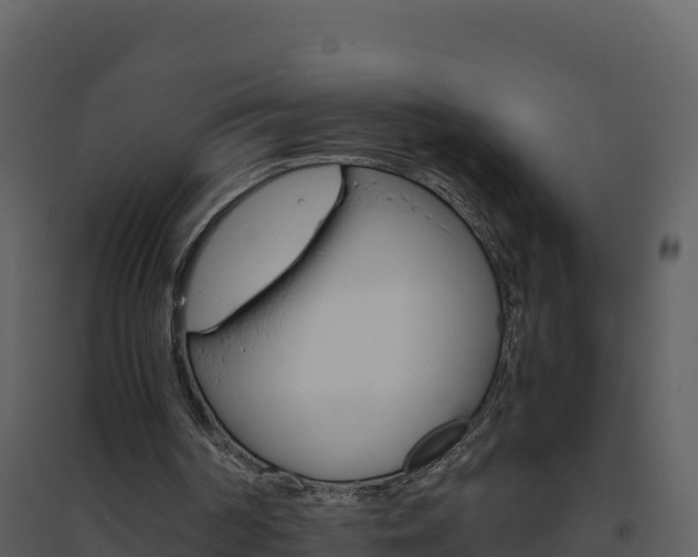 X0000094800194200711160948